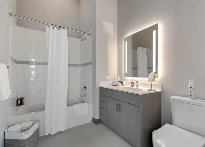 Fulbrix Bright Designer With West Loop Views Chicago